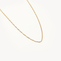 Fijn Gedraaide Ketting Goud Stainless Steel